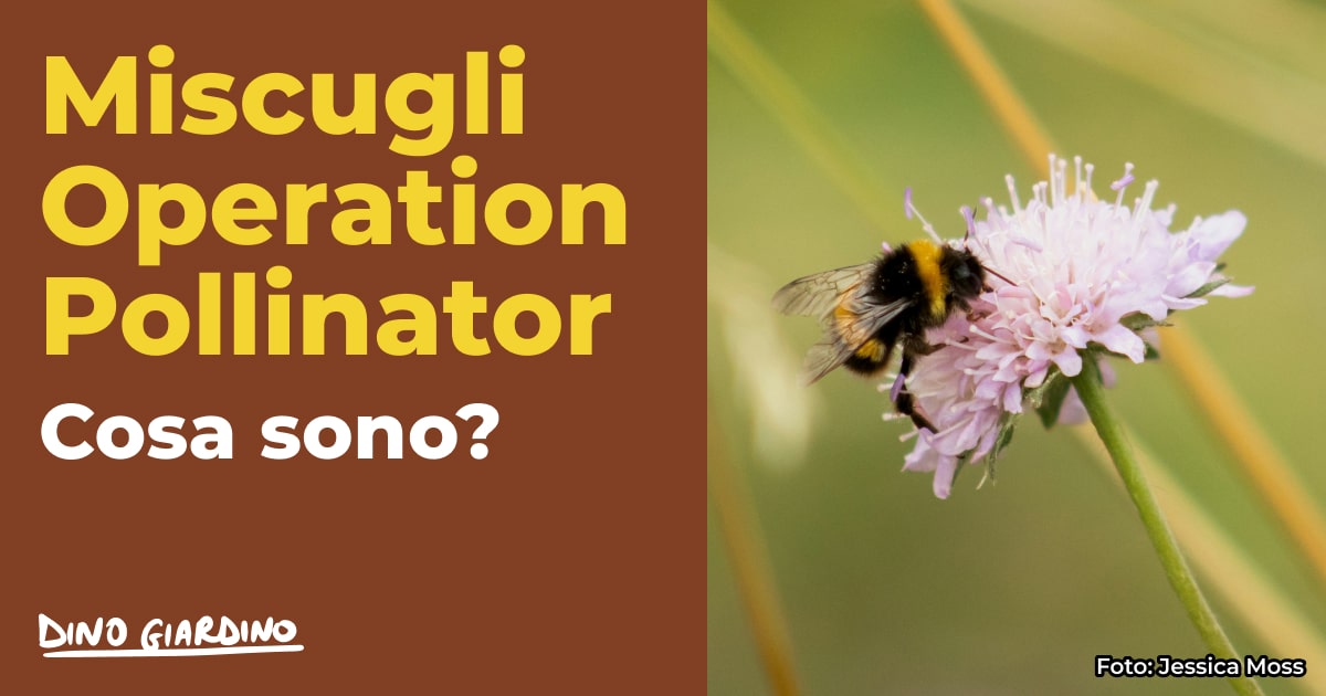 miscugli operation pollinator cosa sono