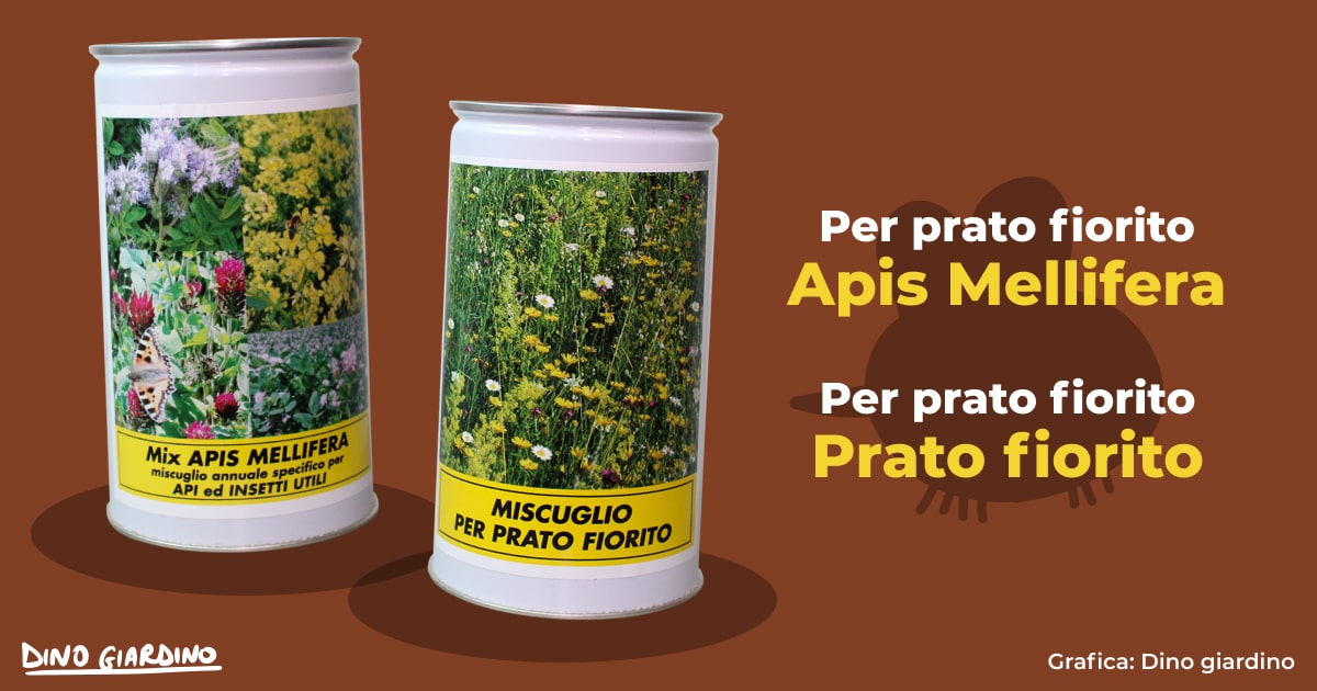 miscugli prato fiorito api