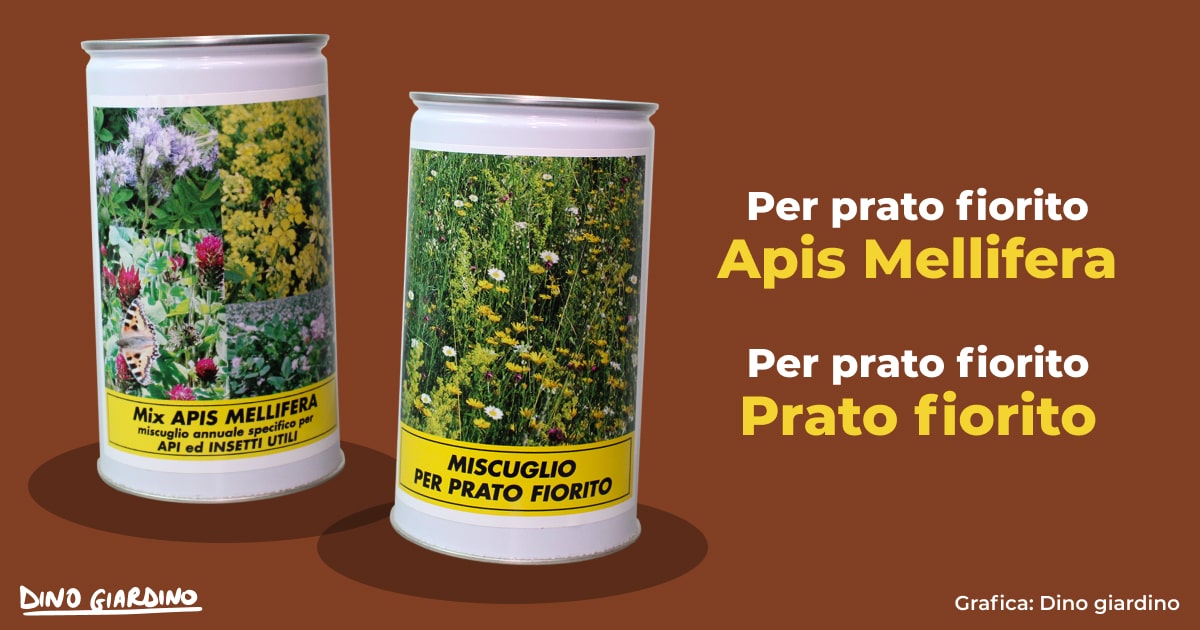 prodotti prato fiorito eco schema 5