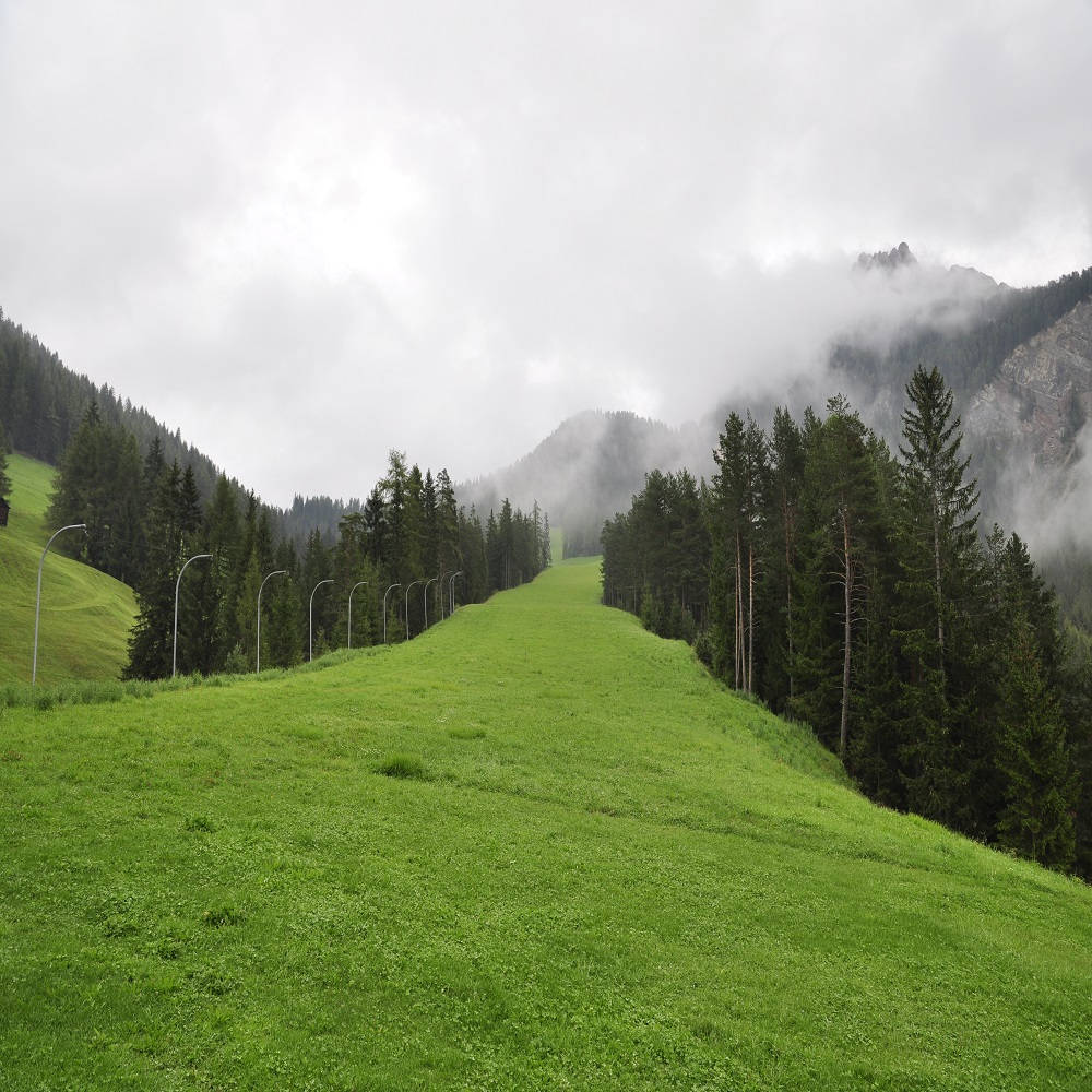 Scarpate Mediterranee