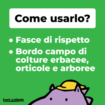 come usare op eco 5 rustico dicotiledoni 10kg