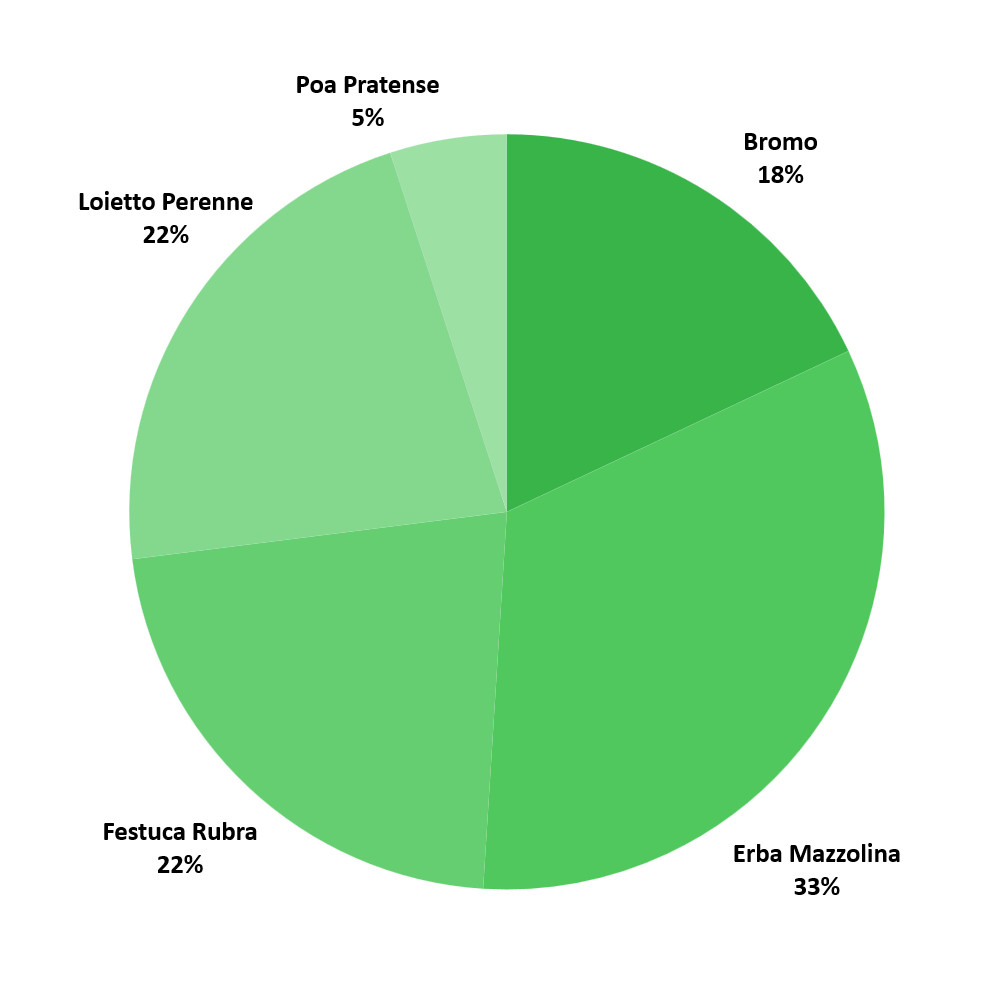 Composizione sementi Pascolo Cavalli
