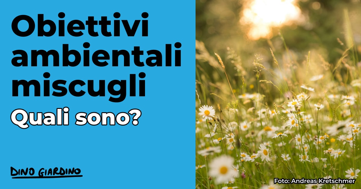 obiettivi ambientali miscugli