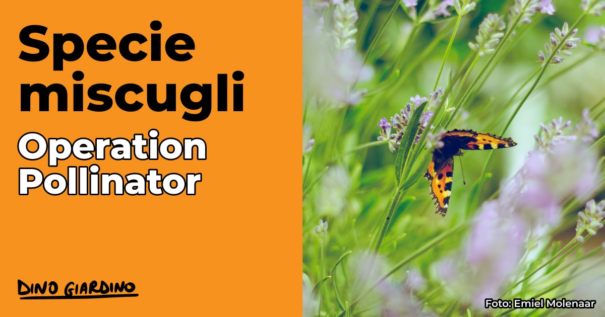 specie miscugli operation pollinator