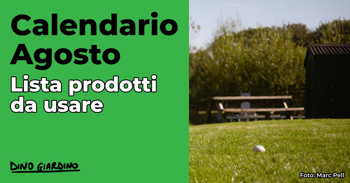 calendario agosto tappeto erboso
