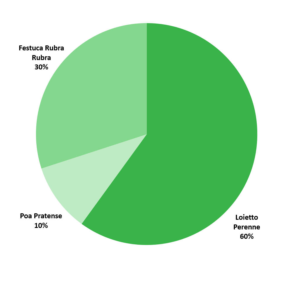 Composizione sementi Brillante Padana Sementi