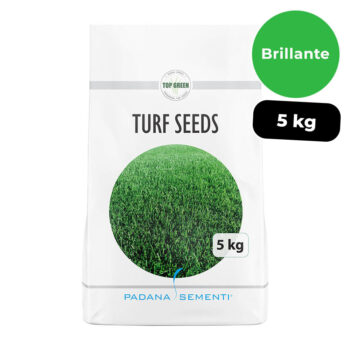 Sementi giardino Brillante Padana Sementi