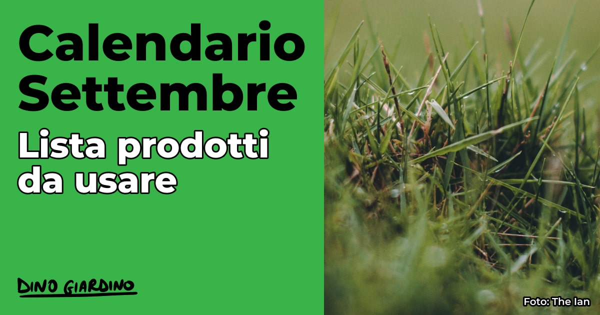 calendario settembre tappeto erboso