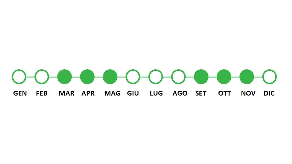 Periodo utilizzo Rucola Tiara
