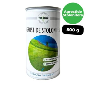 agrostide stolonifera 500g campi golf