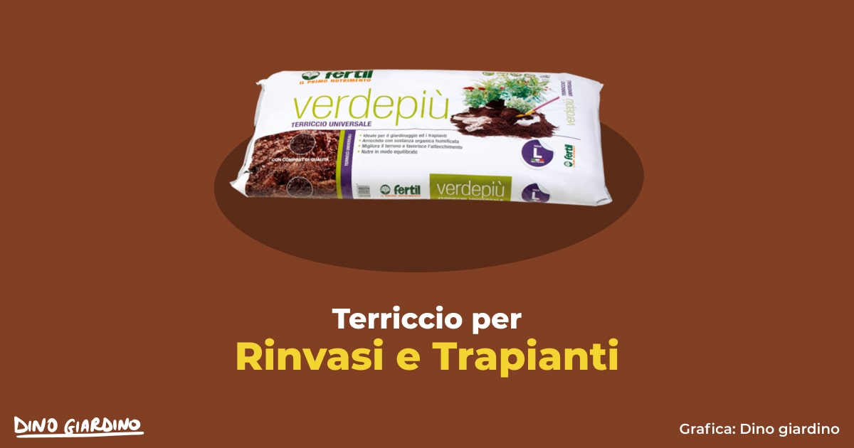 terriccio per rinvasi e trapianti