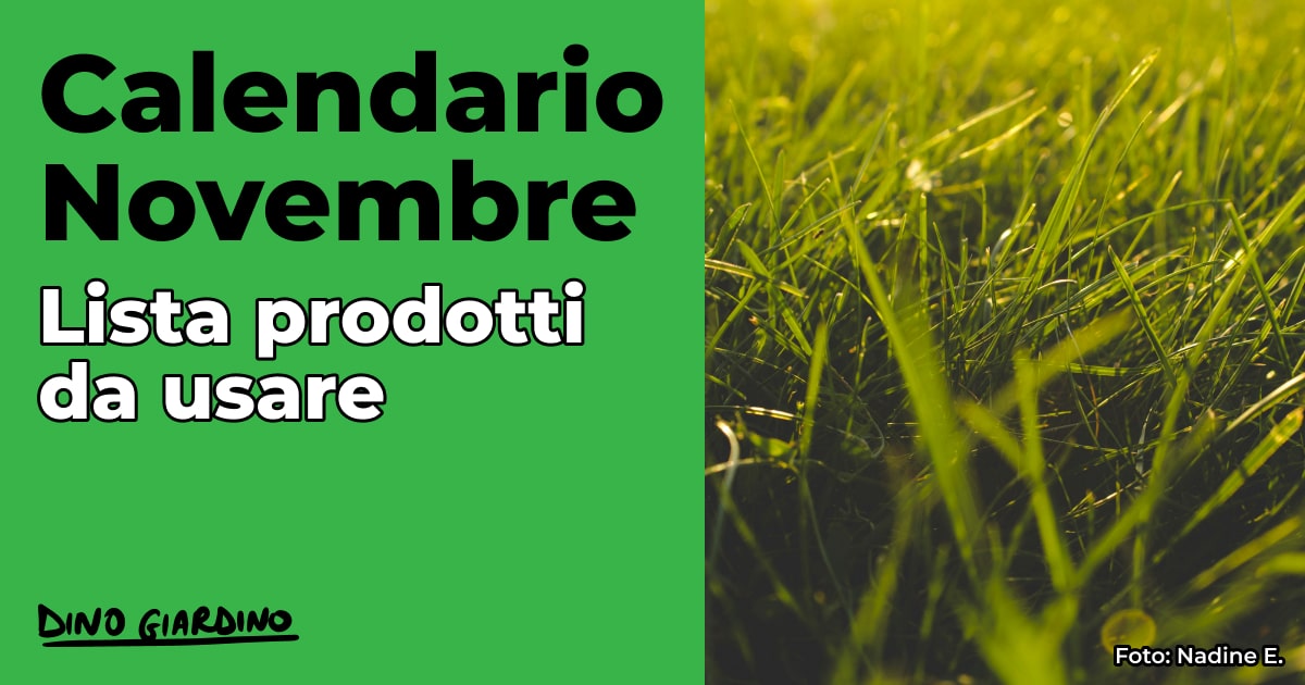 calendario novembre tappeto erboso 2025