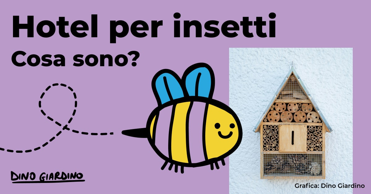 hotel per insetti cosa sono