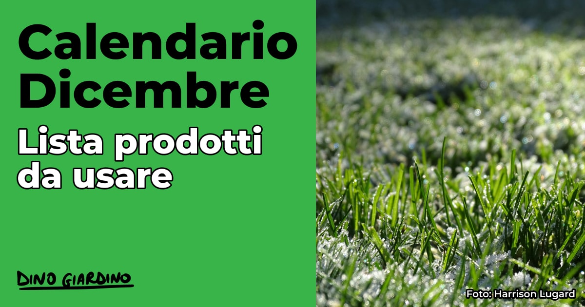 calendario dicembre tappeto erboso