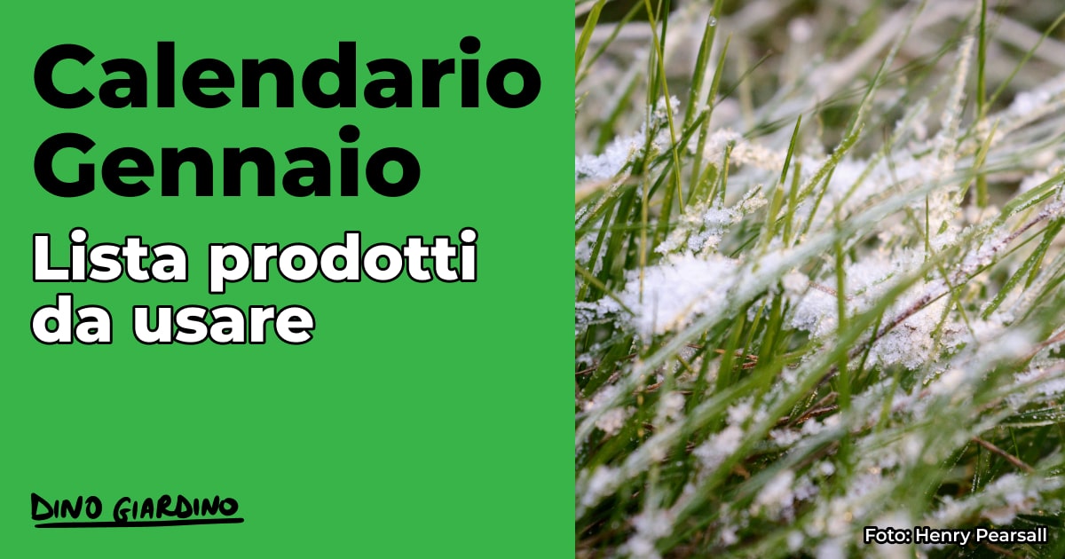 calendario gennaio tappeto erboso 26