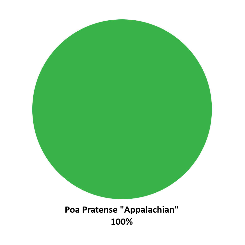 Composizione Poa Pratense Appalachian