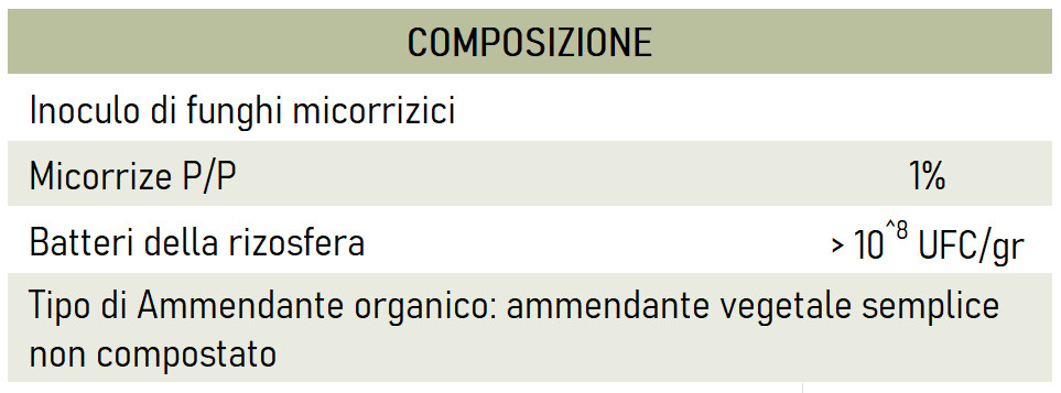 Composizione Bacteria