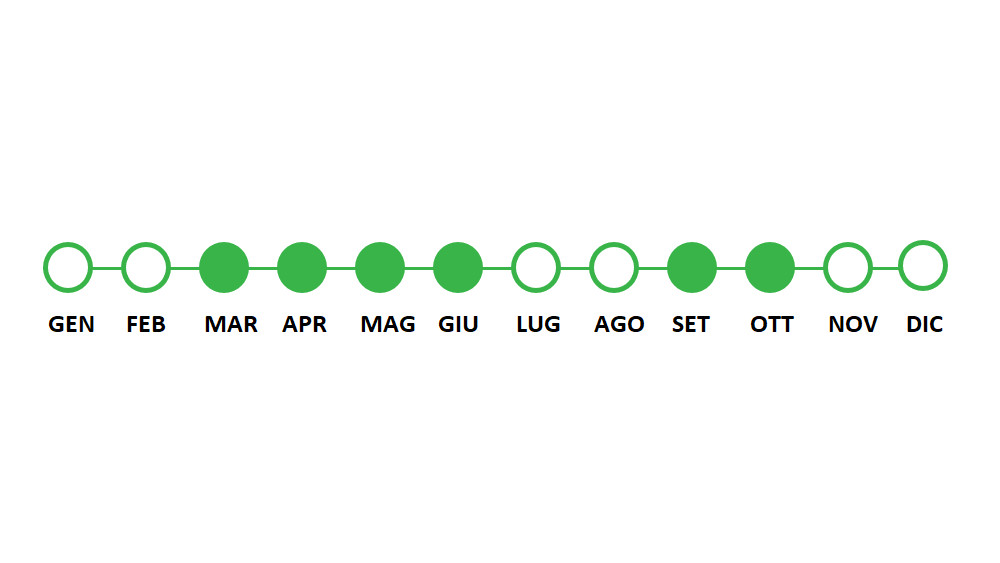 Periodo utilizzo Festuca Arundinacea Bachelor