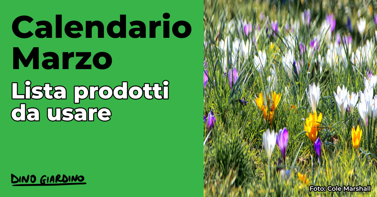 calendario marzo tappeto erboso