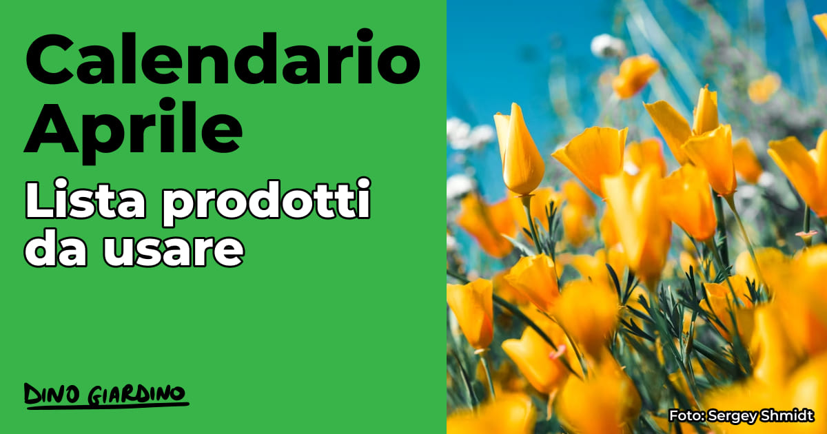 calendario-aprile-tappeto-erboso-26