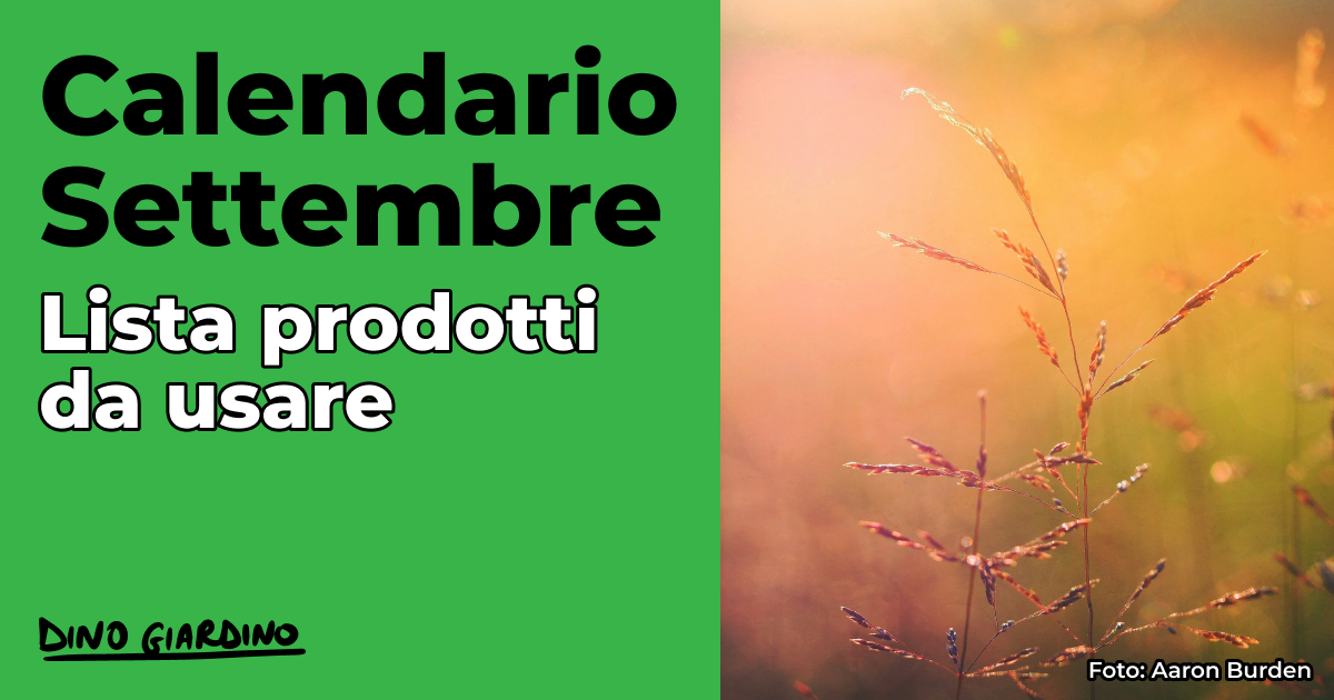 calendario settembre